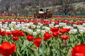 History of Indira Gandhi Memorial Tulip Garden