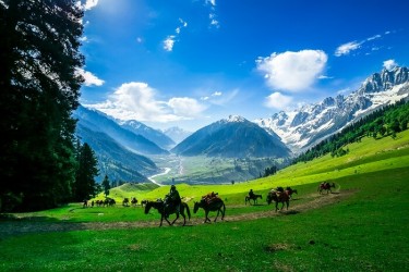 "Sonmarg: Exploring the Meadow of Gold"