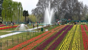 Best time to visit Tulip Garden in 2023