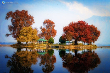 A Day Out in Paradise: Unforgettable Activities on Dal Lake